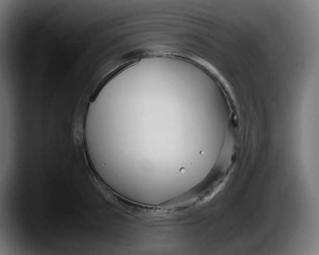 X0000087540897200705251717