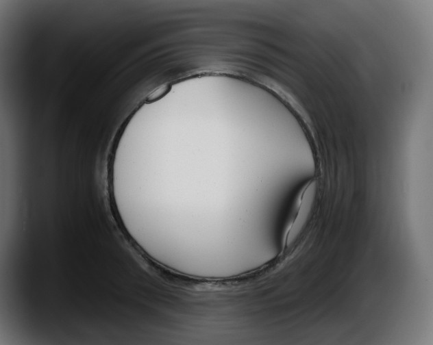 X0000087540898200705251717