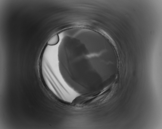 X0000087540899200705251717