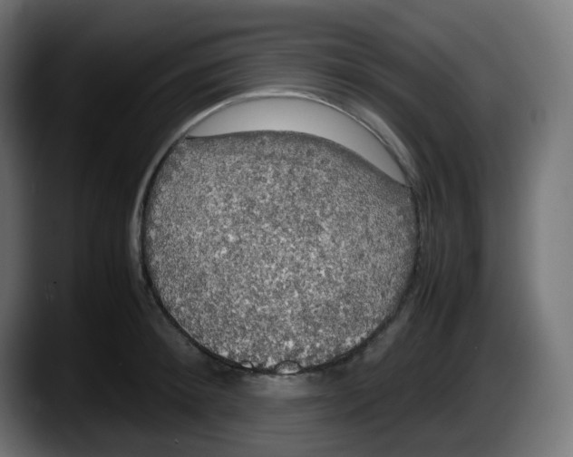 X0000087540900200705251717