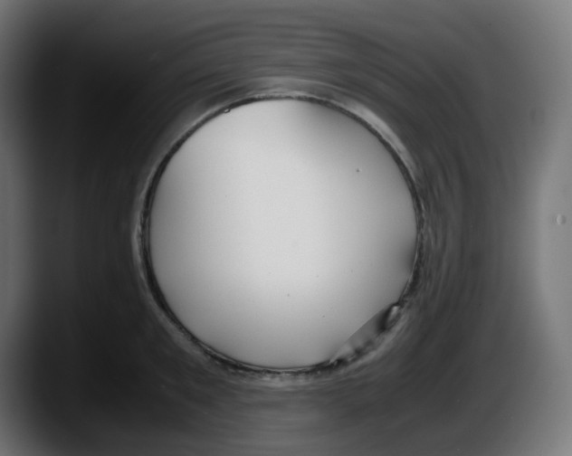 X0000087540901200705251717