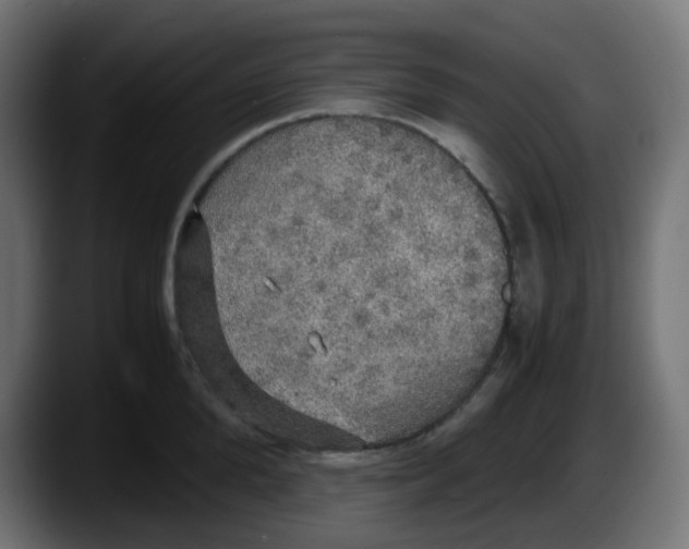 X0000087540904200705251717