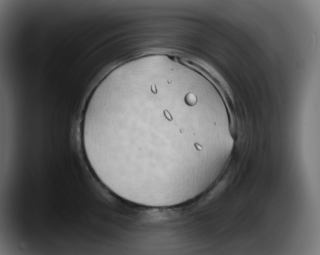 X0000087540906200705251717