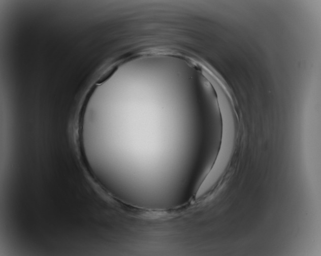 X0000087540909200705251717