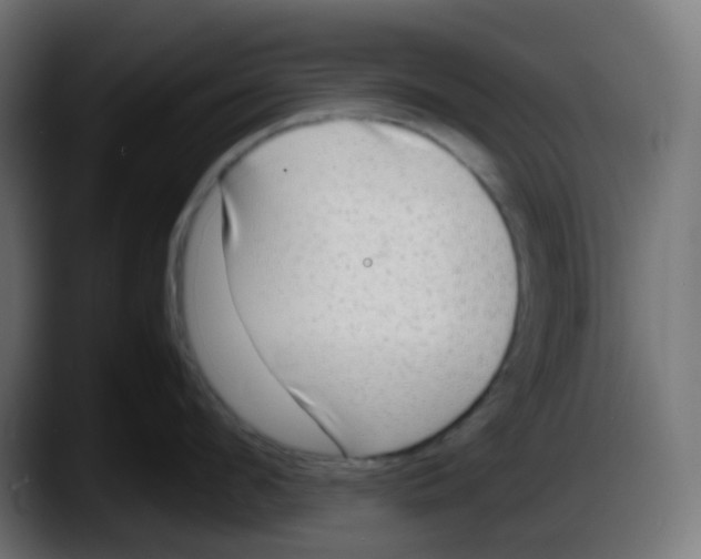 X0000087540912200705251717