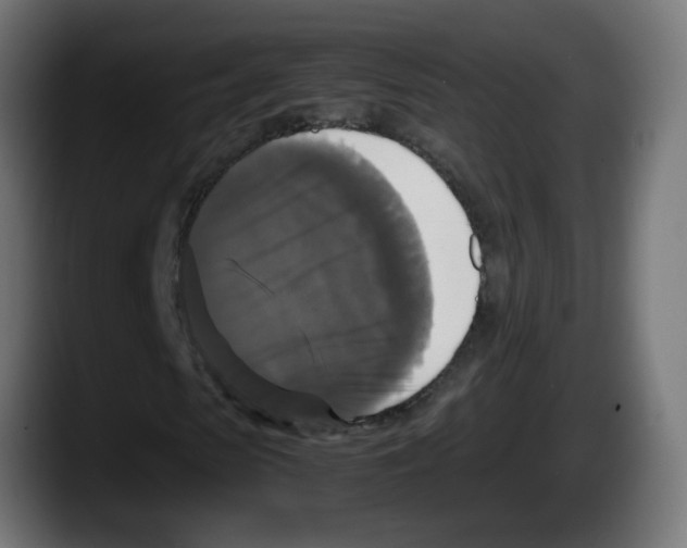 X0000087540913200705251717