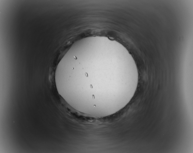 X0000087540914200705251717