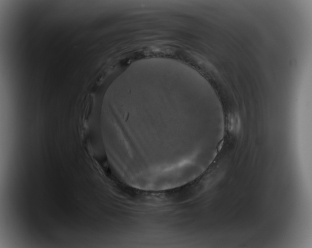 X0000087540915200705251717