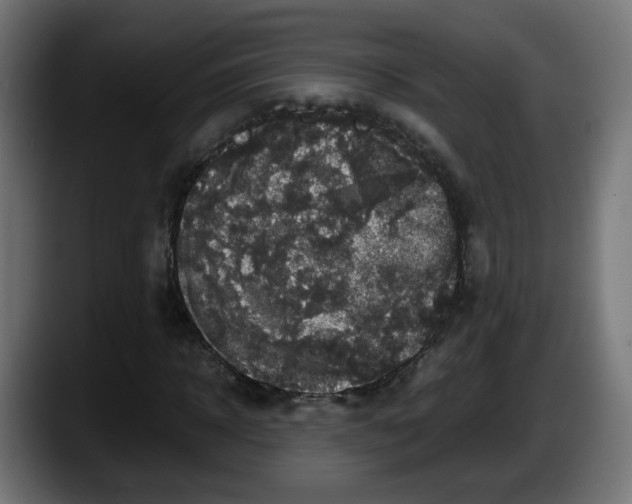 X0000087540918200705251717