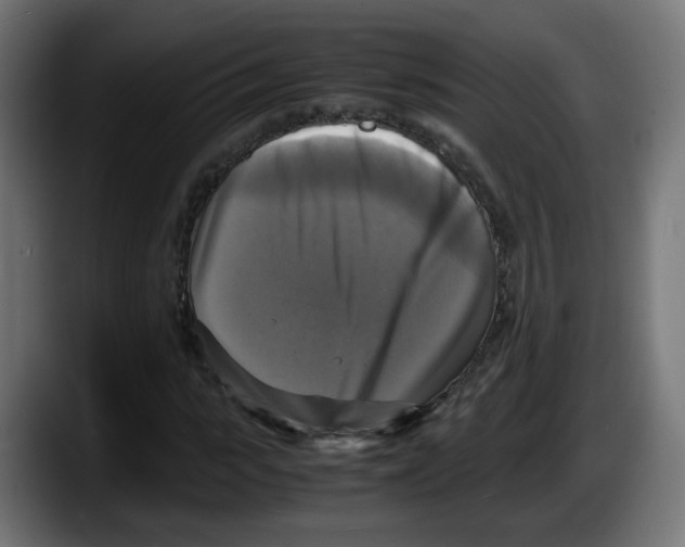 X0000087540919200705251717