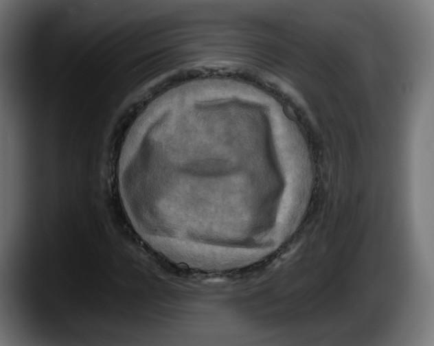 X0000087540920200705251717