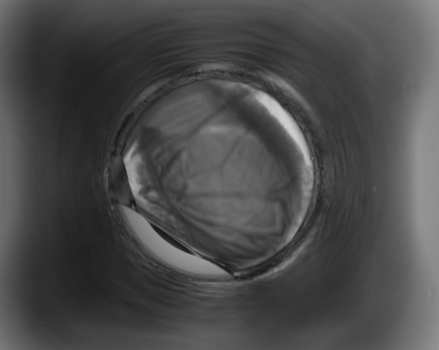 X0000087540921200705251717