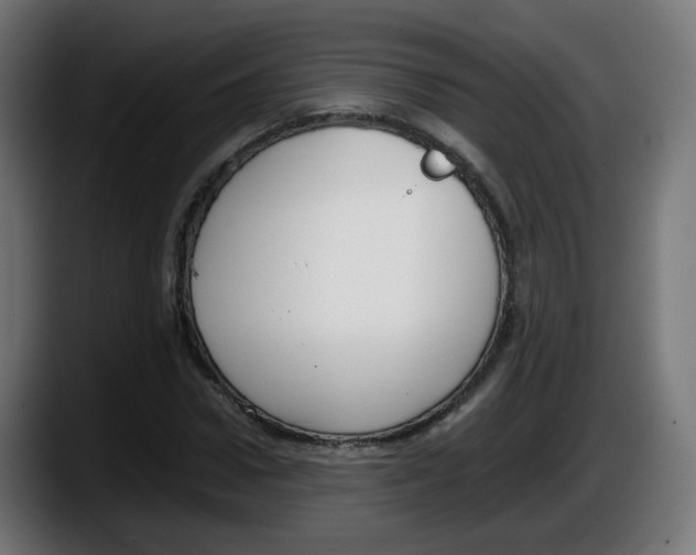 X0000087540922200705251717