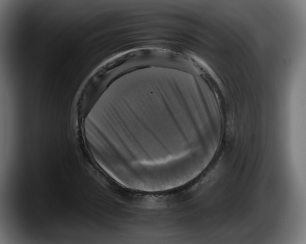 X0000087540923200705251717