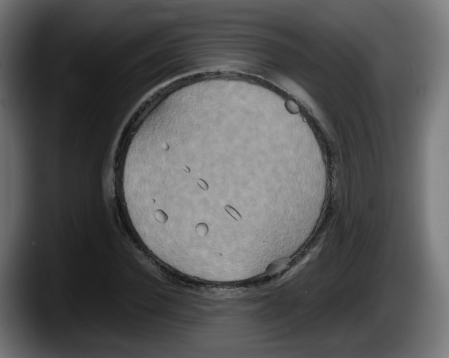 X0000087540924200705251717