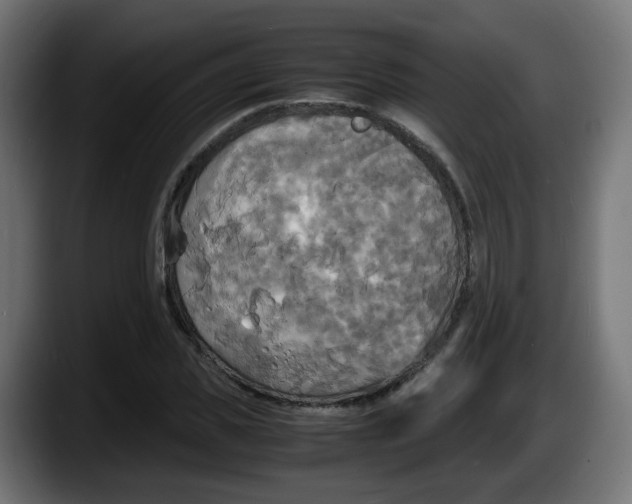 X0000087540925200705251717