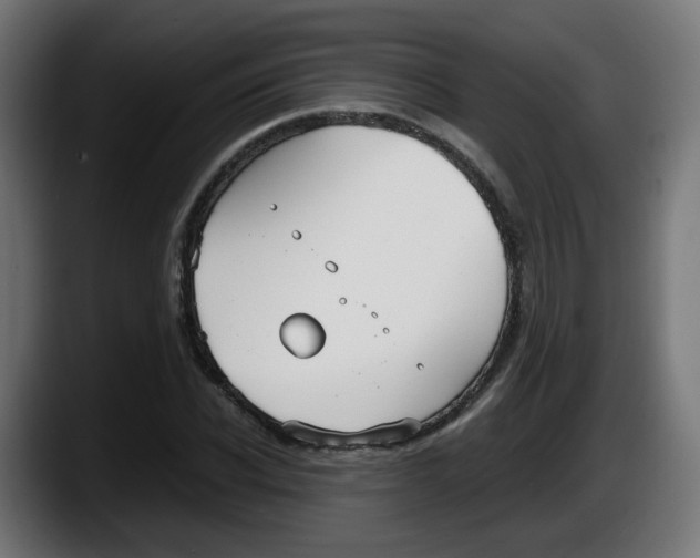 X0000087540926200705251717