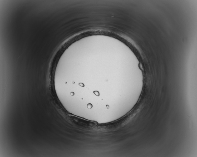 X0000087540927200705251717