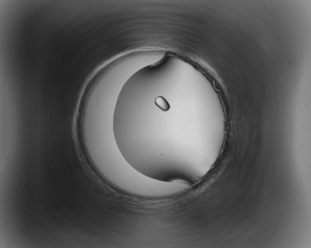 X0000087540928200705251717