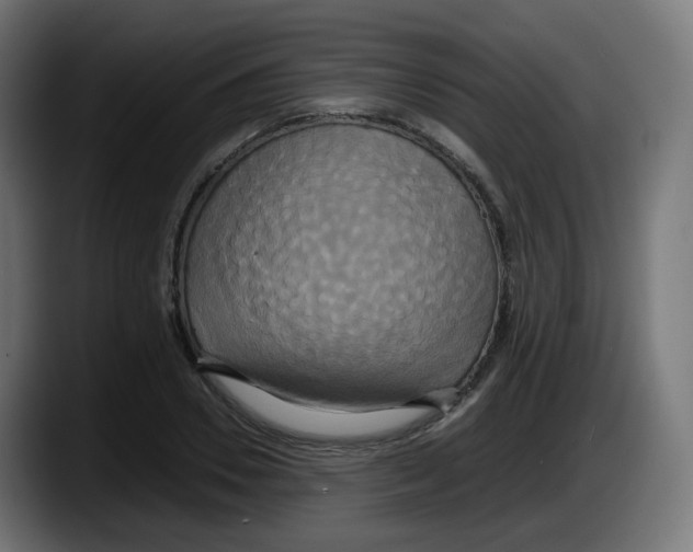 X0000087540930200705251717