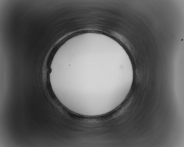 X0000087540931200705251717