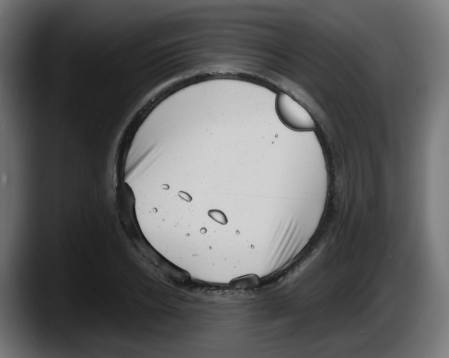 X0000087540934200705251717