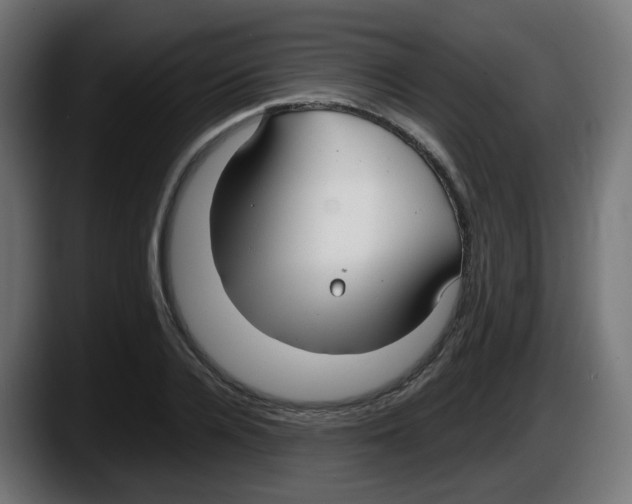 X0000087540936200705251717