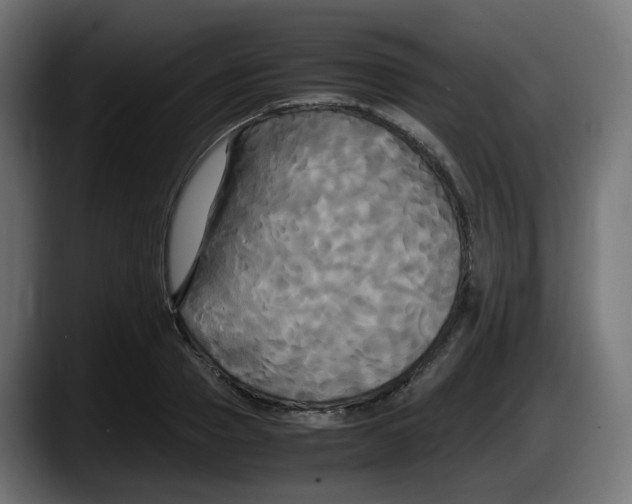 X0000087540937200705251717