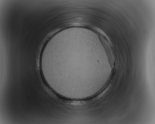 X0000087540938200705251717