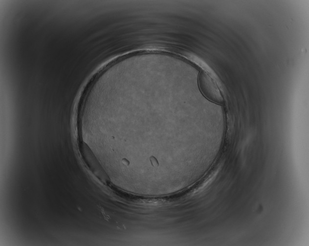 X0000087540939200705251717