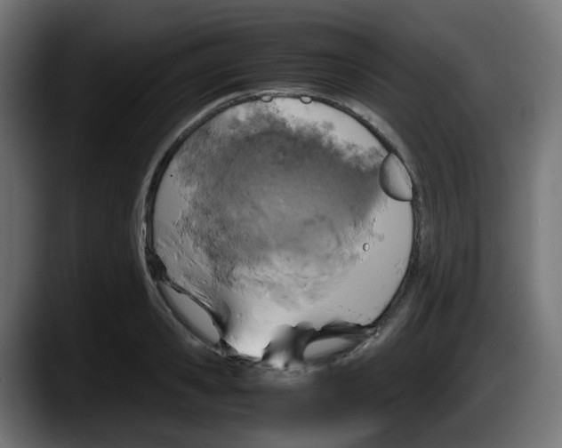 X0000087540941200705251717