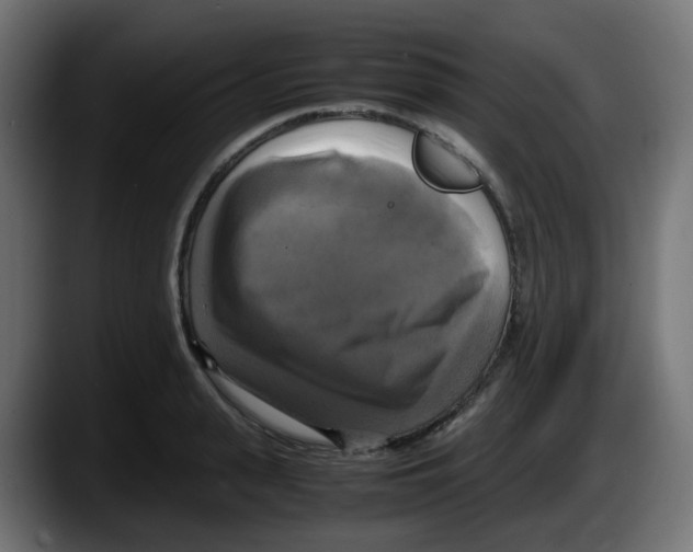 X0000087540943200705251717