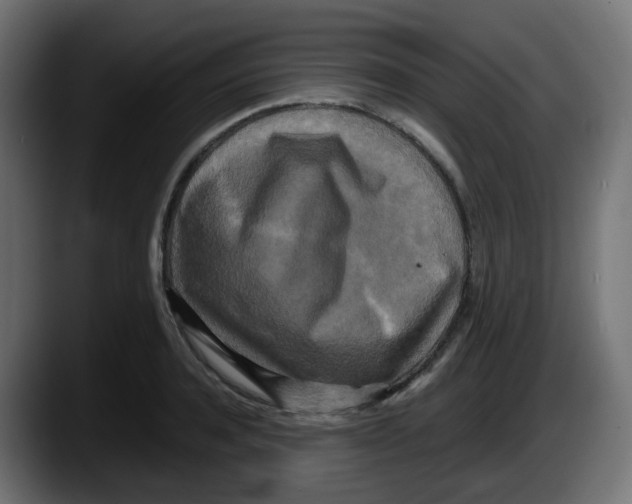 X0000087540944200705251717