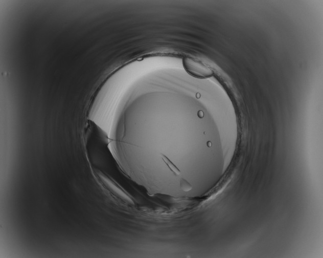 X0000087540945200705251717