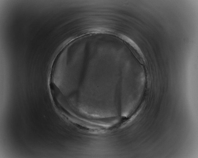 X0000087540946200705251717