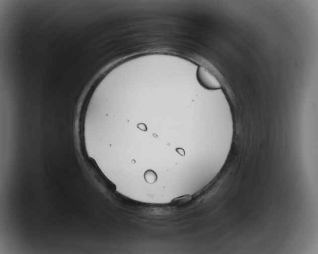 X0000087540947200705251717