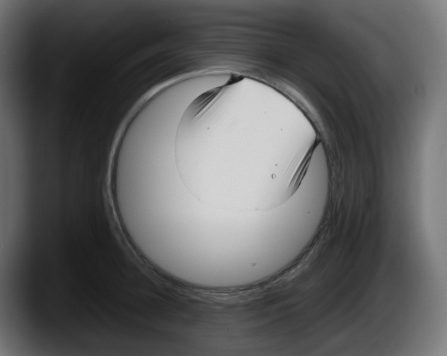 X0000087540948200705251717