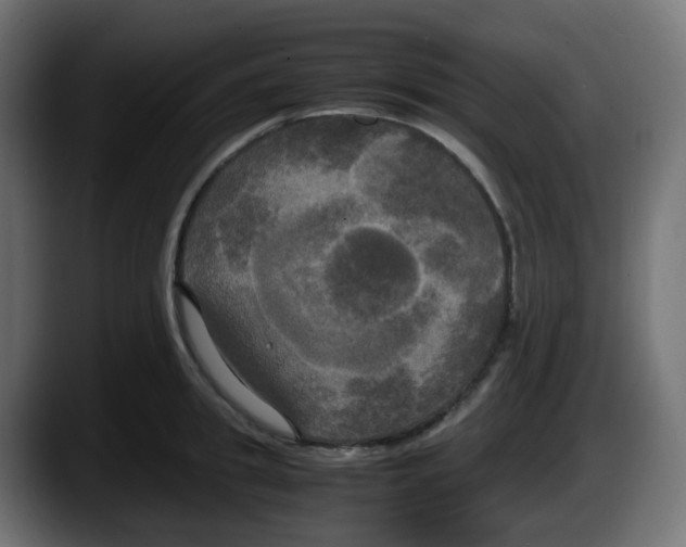 X0000087540949200705251717