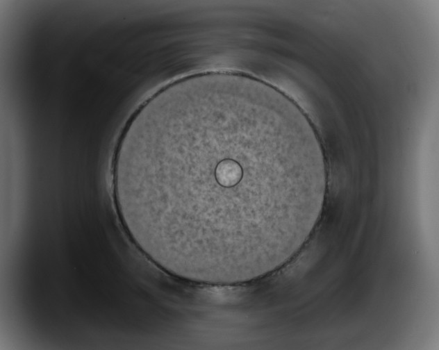 X0000087540950200705251717