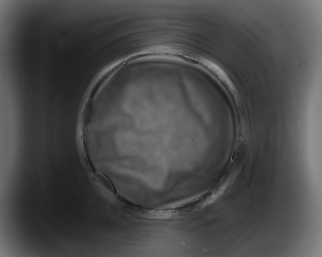 X0000087540952200705251717