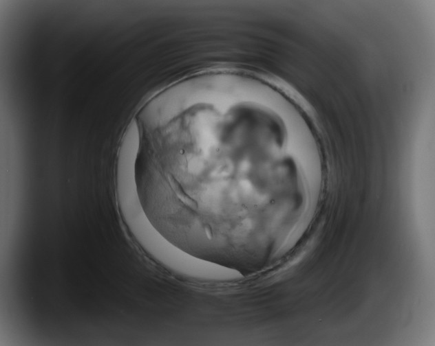 X0000087540953200705251717