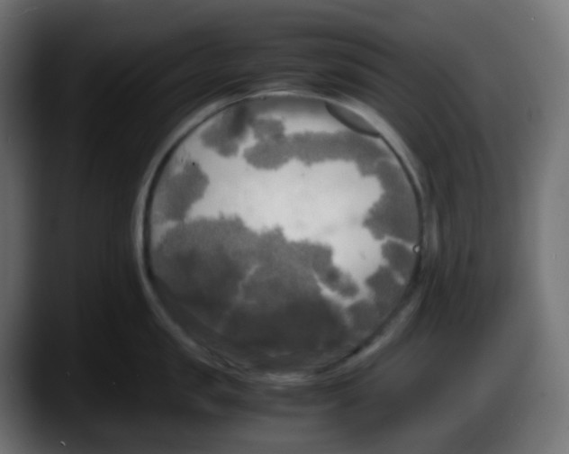 X0000087540957200705251717