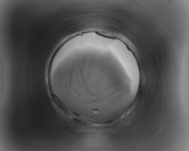 X0000087540958200705251717