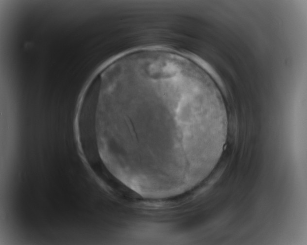 X0000087540959200705251717