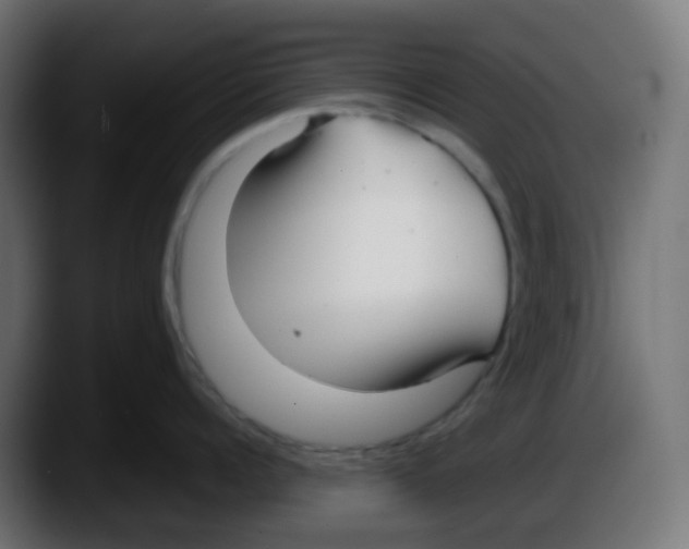 X0000087540960200705251717