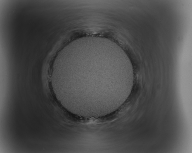 X0000087540961200705251717