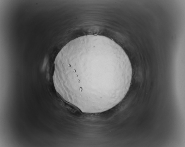 X0000087540962200705251717