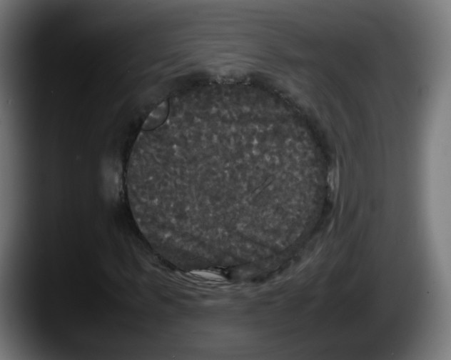 X0000087540963200705251717