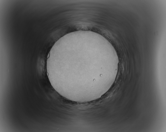 X0000087540964200705251717