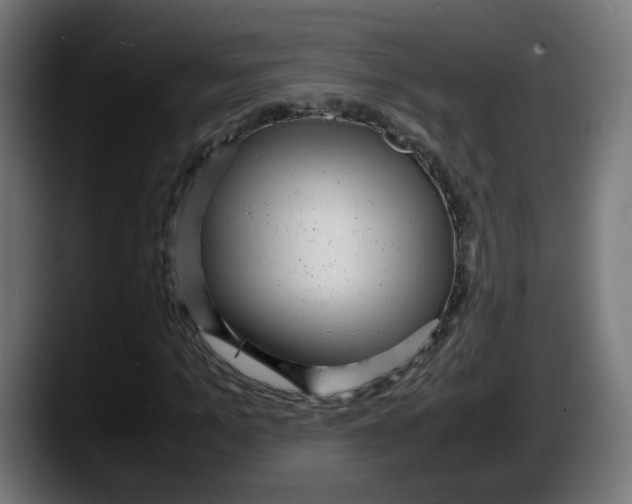 X0000087540965200705251717